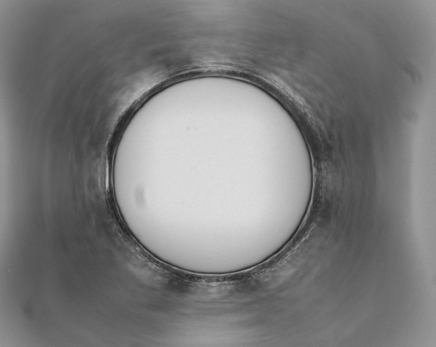 X0000111451269200908031406