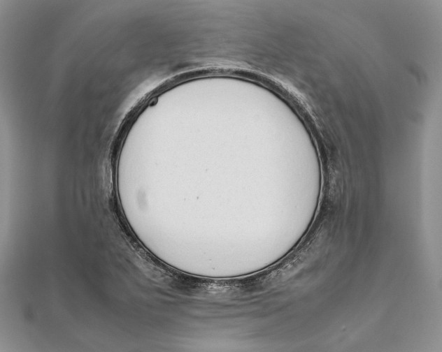 X0000111451271200908031406