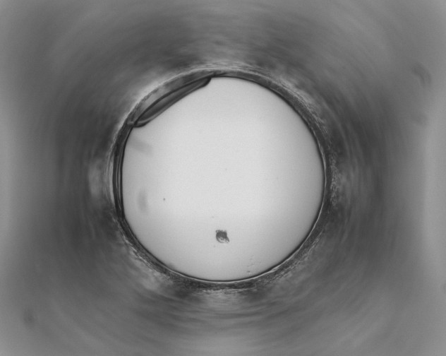 X0000111451272200908031406