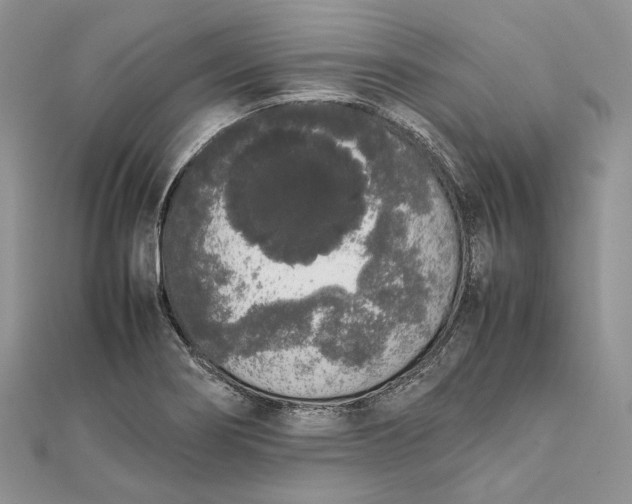 X0000111451274200908031406