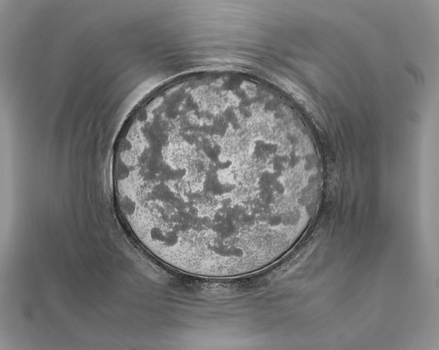 X0000111451275200908031406