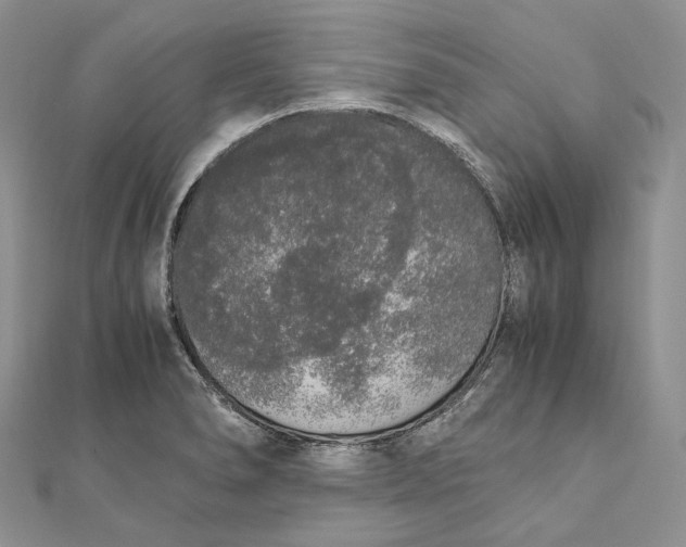X0000111451278200908031406