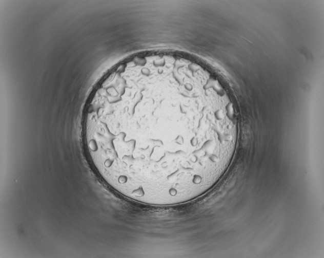 X0000111451279200908031406