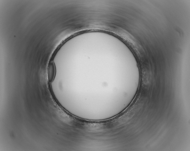 X0000111451280200908031406