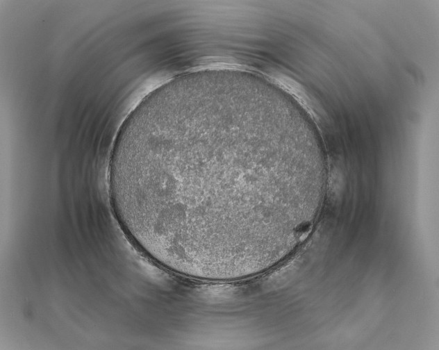 X0000111451282200908031406