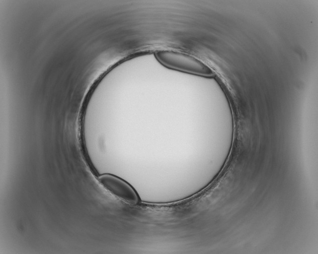 X0000111451285200908031406