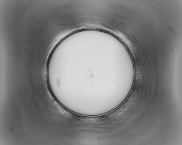 X0000111451287200908031406