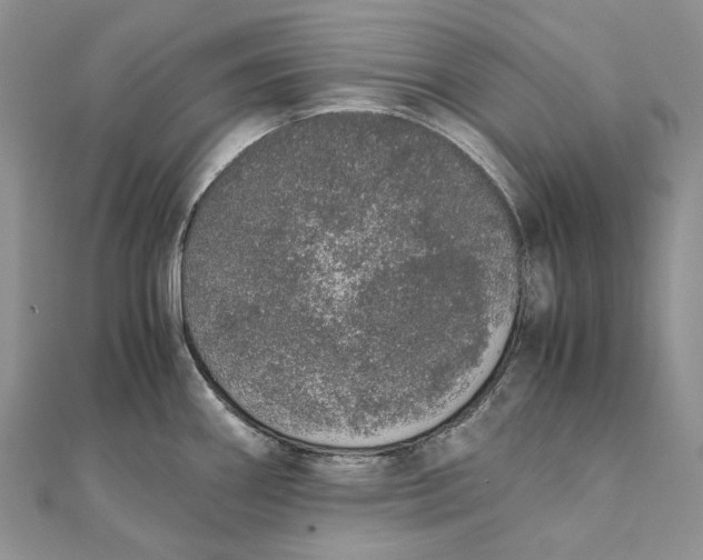 X0000111451290200908031406