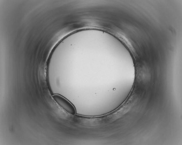 X0000111451292200908031405