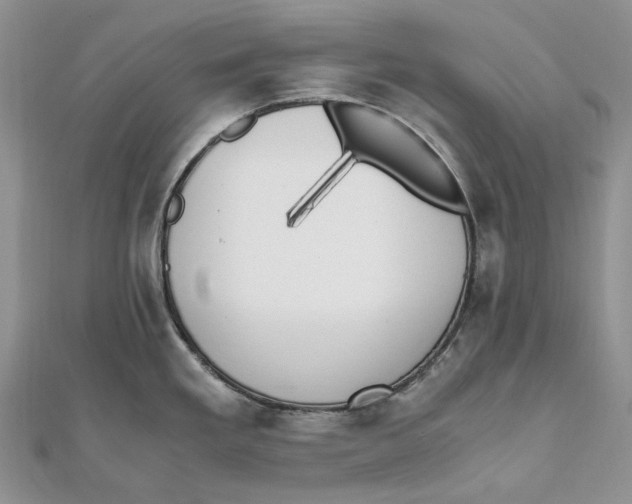 X0000111451293200908031405