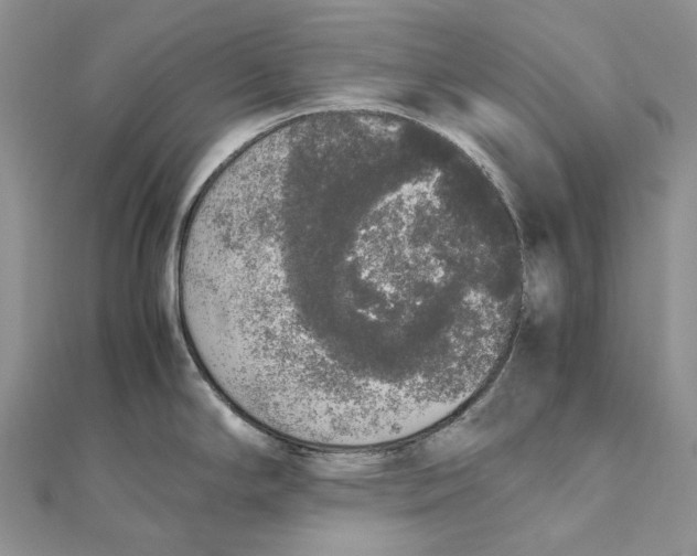 X0000111451294200908031405
