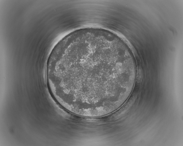 X0000111451295200908031405
