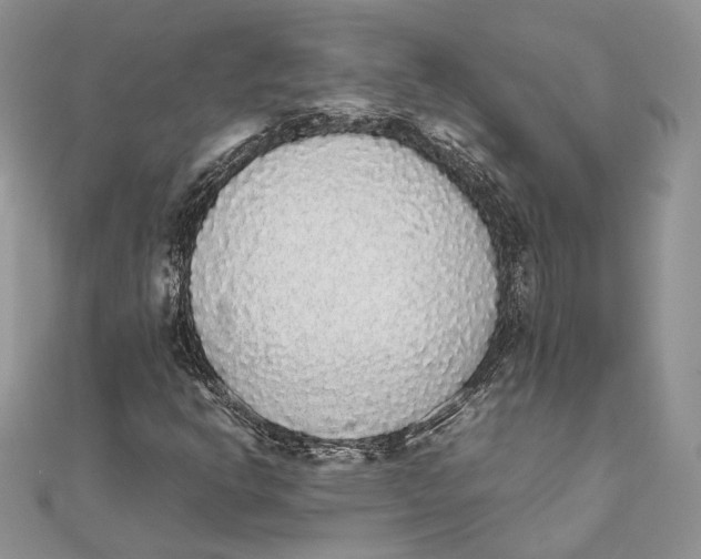 X0000111451302200908031405
