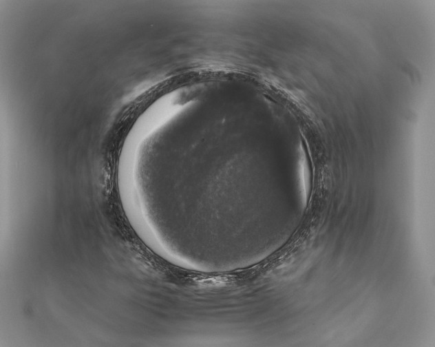 X0000111451303200908031405