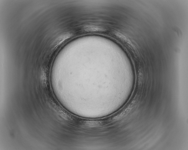 X0000111451305200908031405