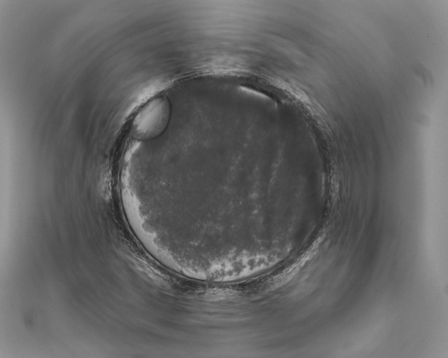 X0000111451306200908031405