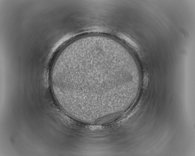 X0000111451310200908031405