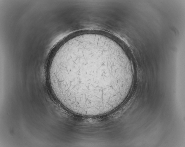 X0000111451311200908031405