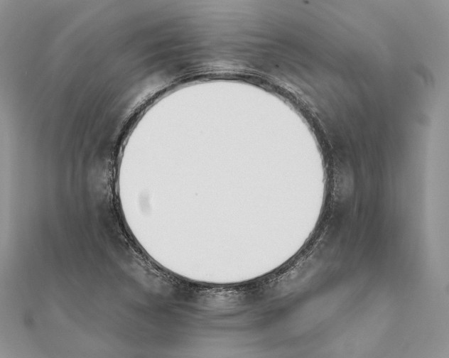 X0000111451314200908031405