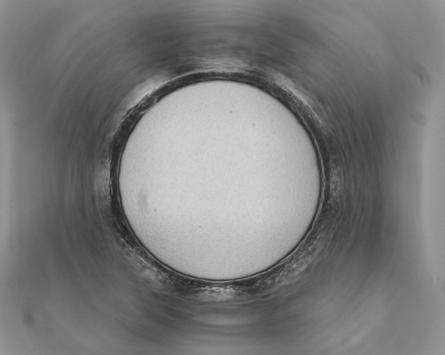 X0000111451315200908031405