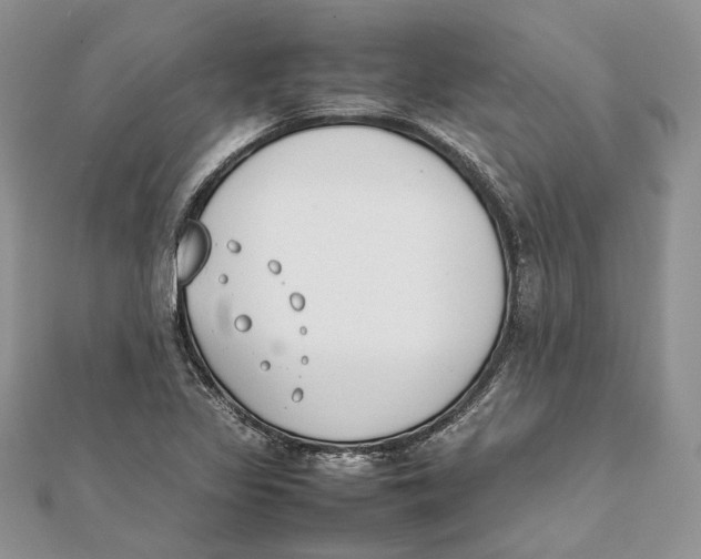 X0000111451317200908031405