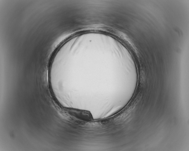 X0000111451320200908031405