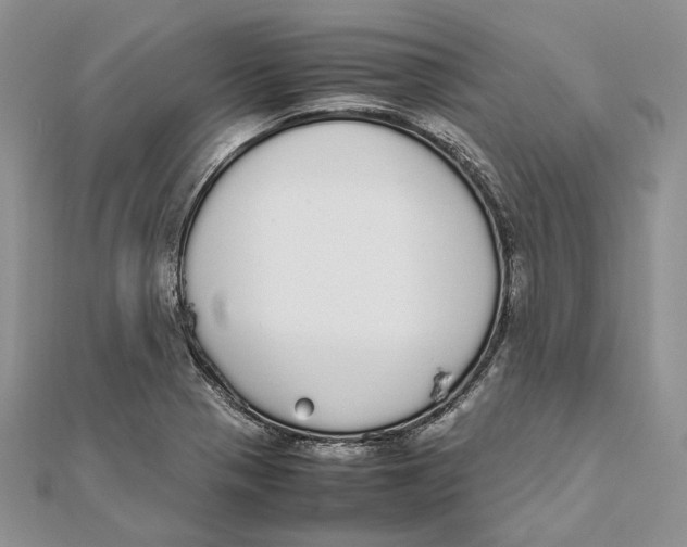 X0000111451321200908031405