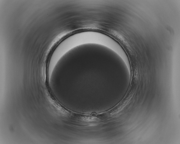 X0000111451323200908031405