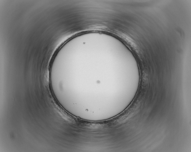 X0000111451324200908031405
