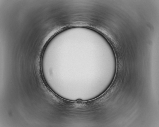 X0000111451325200908031405