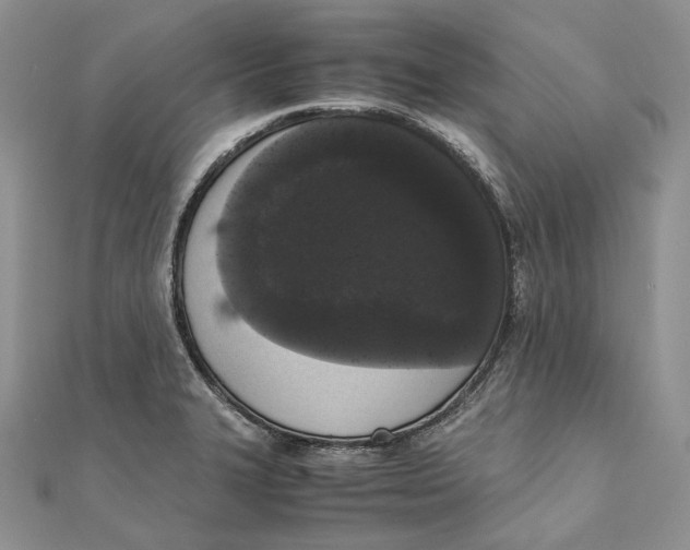 X0000111451327200908031405