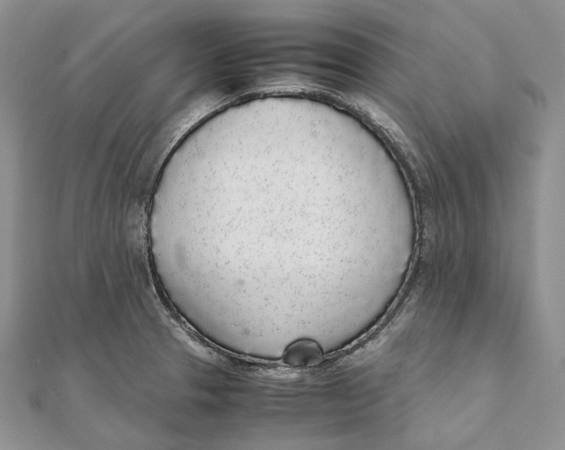 X0000111451329200908031405