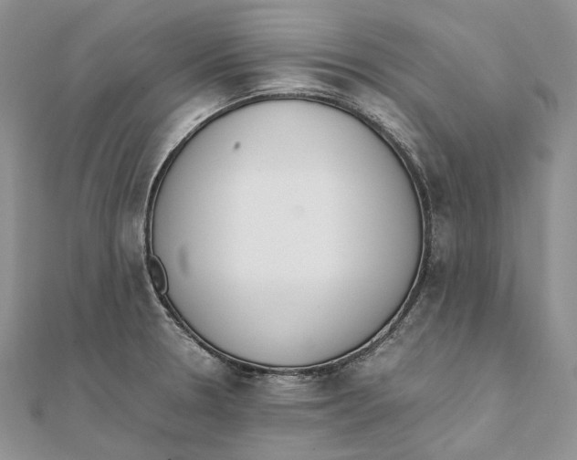 X0000111451330200908031405