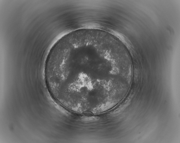 X0000111451331200908031405