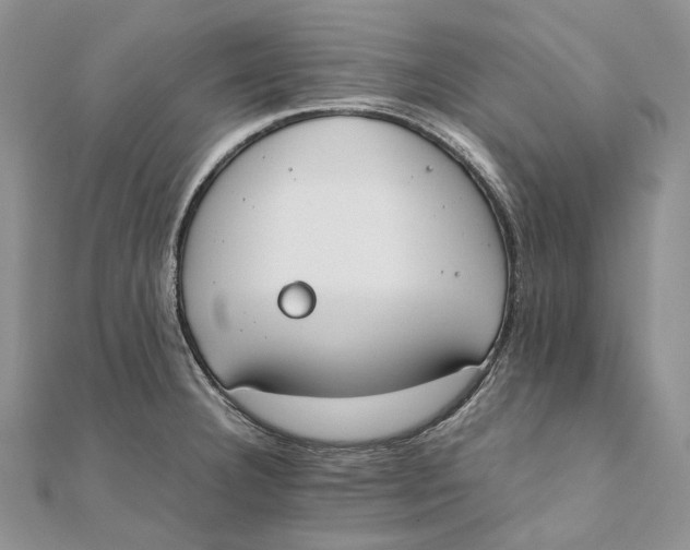 X0000111451332200908031405
