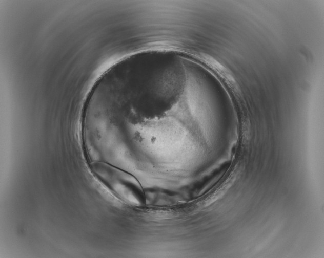 X0000111451334200908031405