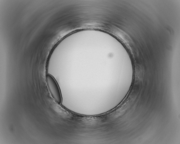 X0000111451336200908031405