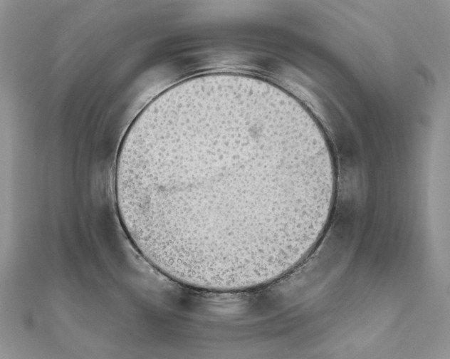 X0000111451338200908031405