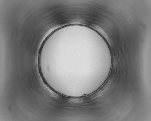 X0000111451339200908031405