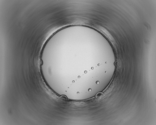 X0000111451340200908031405