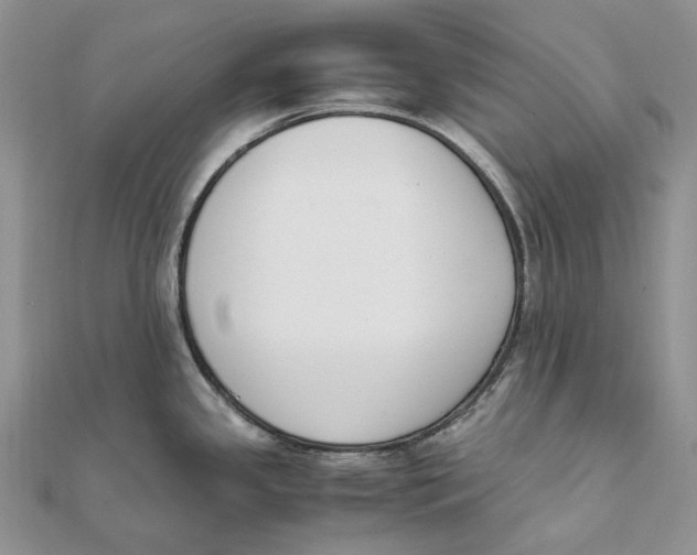 X0000111451341200908031405