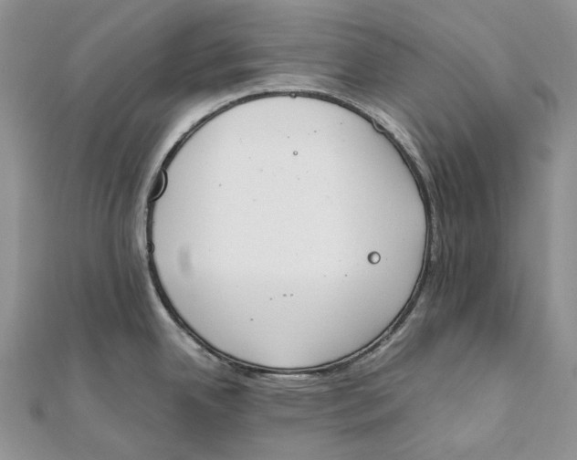 X0000111451342200908031405