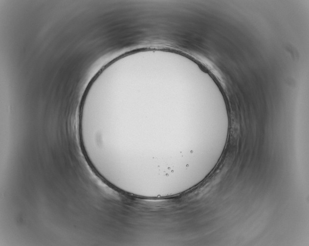 X0000111451343200908031405