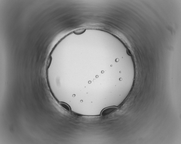 X0000111451344200908031405