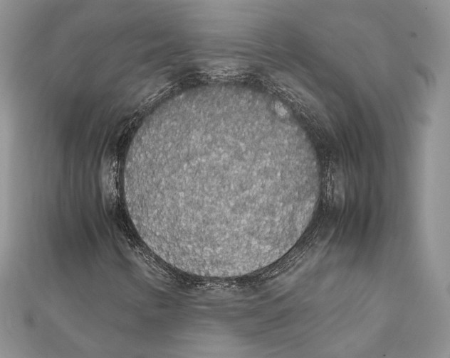 X0000111451346200908031405