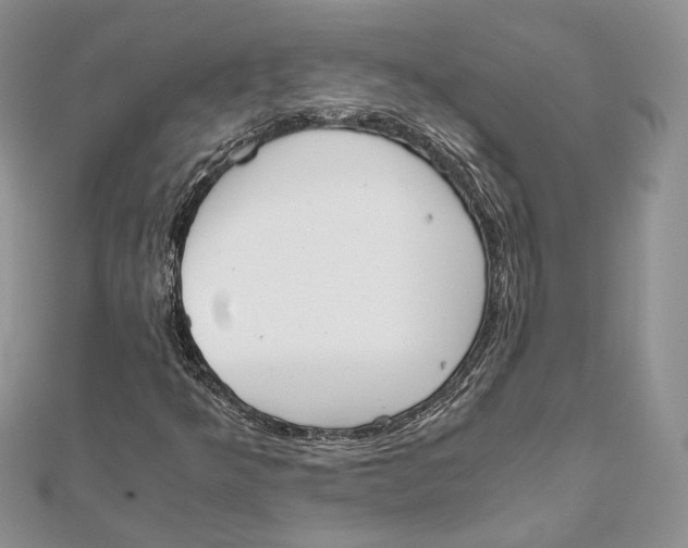 X0000111451349200908031405