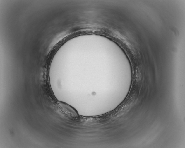 X0000111451352200908031405