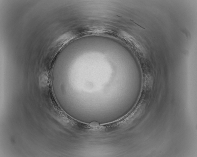 X0000111451353200908031405