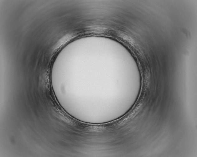 X0000111451354200908031405