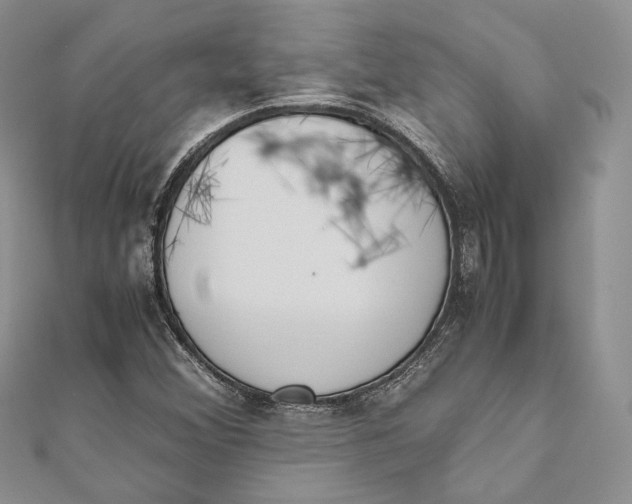 X0000111451356200908031405